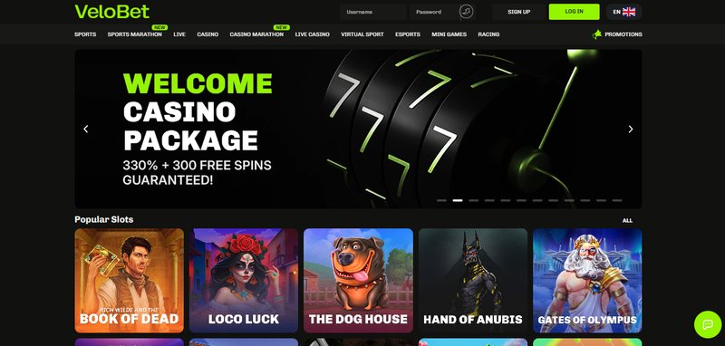 Learn about velobet casino
